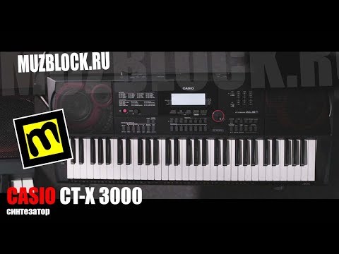 Видео: Синтезатор Casio CT-X3000 - обзор