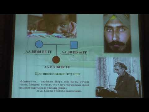 Видео: Ким А. И. - Генетика - 9. Комплементарное взаимодействие генов