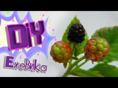 Видео: Ягоды ежевики из полимерной глины.  Мастер-класс по холодному фарфору.