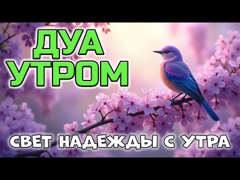 Видео: ДУА УТРОМ ДЛЯ ПЕРЕЗАГРУЗКИ И НАДЕЖДЫ! 🤲❤️
