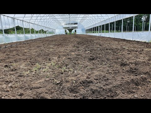 Видео: Подготовка почвы под клубнику и малину.