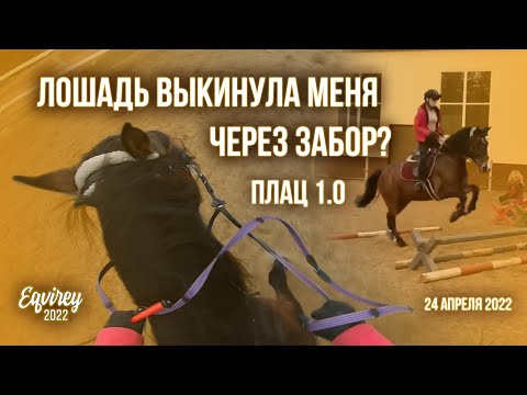 Видео: ЛОШАДЬ ВЫКИНУЛА МЕНЯ ЧЕРЕЗ ЗАБОР? | ПЛАЦ 1.0 | GoPro