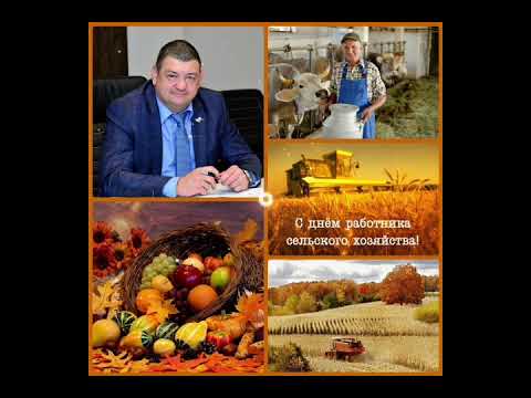 Видео: С днём работника сельского хозяйства...🌱🌿🌾