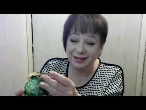 Видео: Имитация камня. лизардит . Запись выступления.