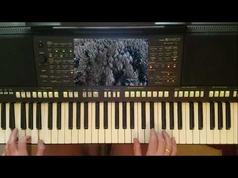 Видео: YAMAHA PSR s950  СТАРЫЙ ЛЕС АНДРЕЙ РАЗИН