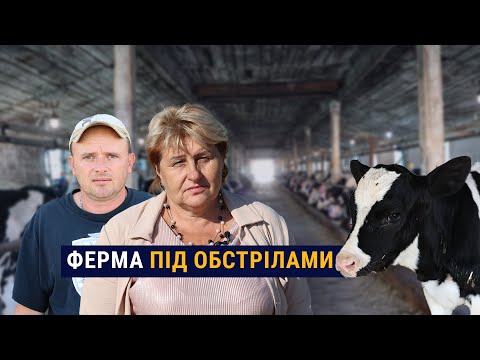 Видео: Історія спротиву фермерів. Як молочна ферма працювала під окупацією та обстрілами