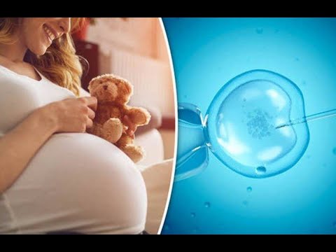 Видео: 2021: ЭКО по квоте