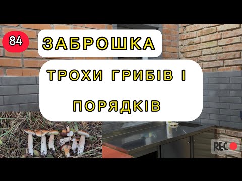Видео: Заброшка: троха ГриБів та порядки 🍄‍🟫 