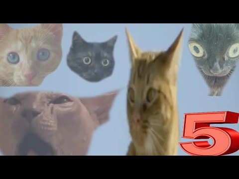 Видео: Сыркис 5 | RYTP