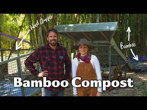 Видео: Он открыл силу бамбука — он дал мощный импульс их огороду