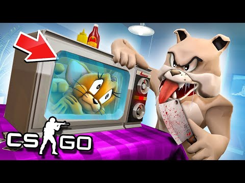 Видео: ЗРЯ ТЫ ЗАЛЕЗ ТУДА ДЖЕРРИ, ОЙ КАК ЗРЯ! МАНЬЯК РАЗВЕЛ НАС НА ТРОЛЛЬ ЛОВУШКУ - МАНЬЯК CS:GO