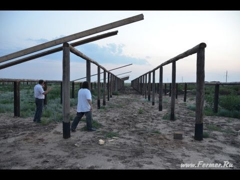 Видео: ООО Волгоград Эдильбай. Экономика строительства кошары с базом и навесом.