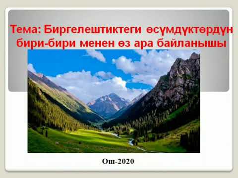 Видео: Өсүмдүктөр биргелештиги 🌿🌲🌳