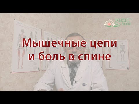 Видео: Мышечные цепи и боль в спине