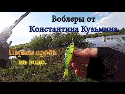 Видео: Воблеры от Константина Кузьмина. Первая проба на воде.