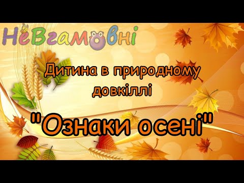 Видео: Дитина у природному довкіллі. Заняття для молодшої групи."Ознаки осені".