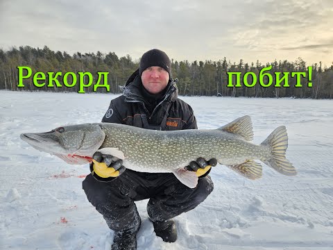 Видео: Щучий беспредел(мечта жерличника)!