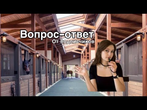 Видео: вопрос - ответ на конную тему/ моя конная история