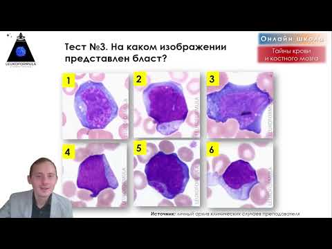 Видео: 🔬Бласты под микроскопом. Трейлер к уроку.