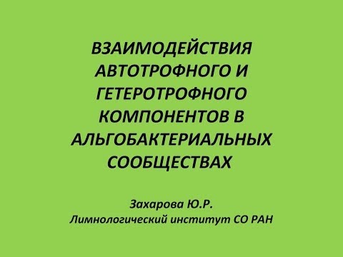 Видео: Ассоциативный симбиоз водорослей и бактерий (Лимнологический институт СО РАН)