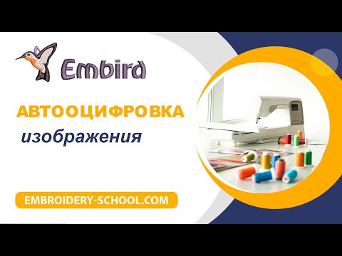 Видео: Автооцифровка растрового изображения в  Embird.