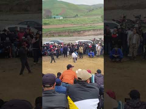 Видео: Гуштини Саричашма 11.05.2024.  н. Ш. Шоҳин