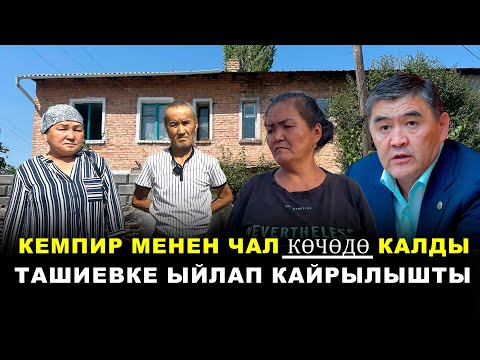 Видео: Кемпир менен чал көчөдө калды. Ташиевке ыйлап кайрылышты