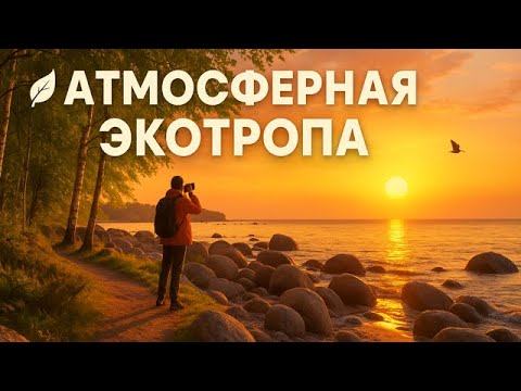Видео: Лен область. Берег Копорской губы