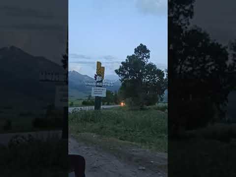 Видео: жолдо