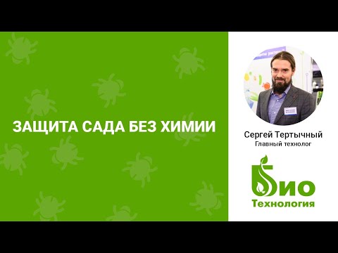 Видео: Как избавиться от вредителей в саду БЕЗ ХИМИИ.