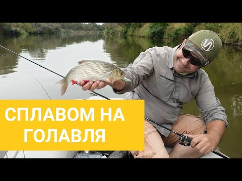 Видео: Сплавом за Голавлём