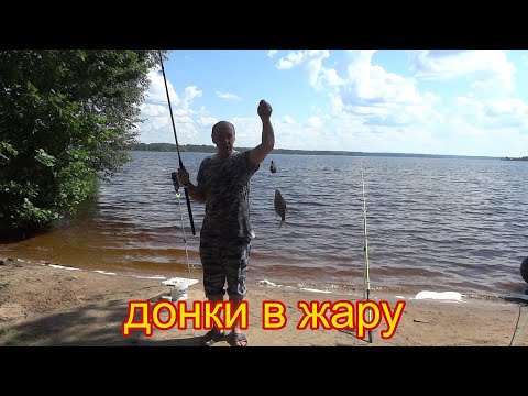 Видео: Универсальная снасть на леща сама ловит рыбу. В жару на донки хорошо клюет лещ и подлещик.
