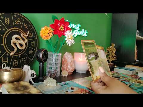 Видео: РАК: ОБРАТИТЕСЬ К ЗНАНИЯМ, ПОЛУЧЕННЫМ ИЗ ОПЫТА, ЧТОБЫ ПОМОЧЬ ВАМ РЕШИТЬ