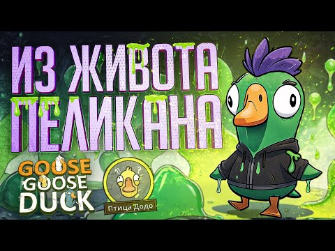 Видео: Я СБЕЖАЛ ИЗ ЖИВОТА ПЕЛИКАНА, И ЭТО ИЗМЕНИЛО ИГРУ — Goose Goose Duck // ВЕСЁЛАЯ НАРЕЗКА