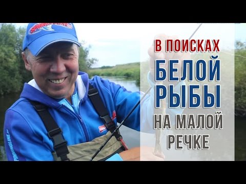 Видео: В поисках белой рыбы на малой речке