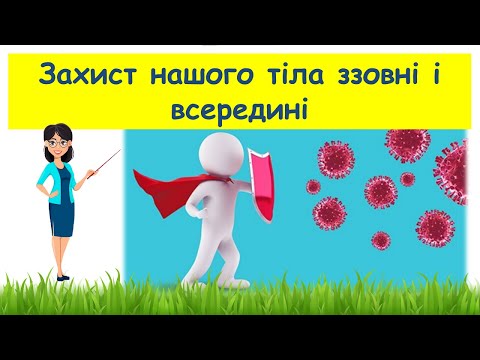 Видео: Захист нашого тіла ззовні і всередині // Пізнаємо природу 5 клас НУШ