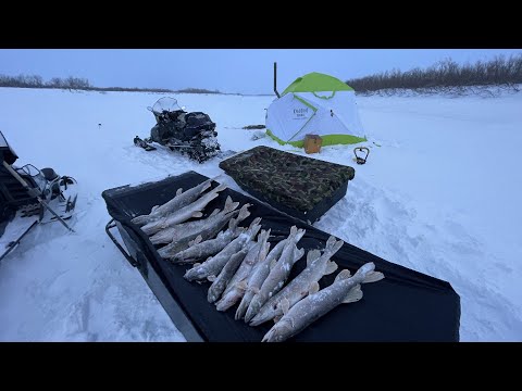 Видео: РАЗВЕДКА С НОЧЁВКОЙ В МОБИЛЬНОЙ ИЗБЕ 2021!!! Затишье перед БУРЕЙ часть 1