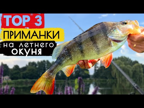 Видео: ТОП-3 ПРИМАНКИ НА ОКУНЯ ЛЕТОМ: ГАРАНТИЯ ТРОФЕЙНОГО УЛОВА!