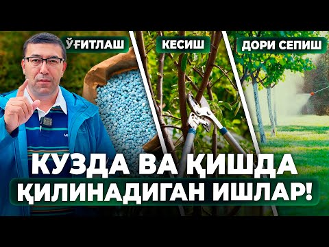 Видео: КУЗДА ВА ҚИШДА ҚИЛИНАДИГАН ИШЛАР - ЎҒИТЛАШ, КЕСИШ ВА ДОРИ СЕПИШ! | ШУҲРАТ АБРОРОВ #shuhratabrorov