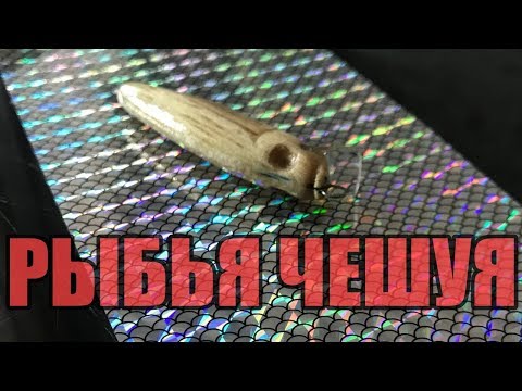 Видео: Обклеить Воблер Пленкой с Aliexpress(рыбья чешуя)