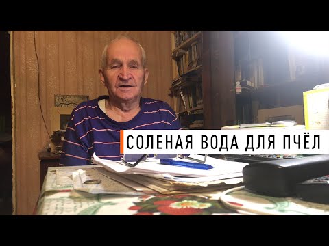 Видео: «Соленая вода для пчёл Кашковский»