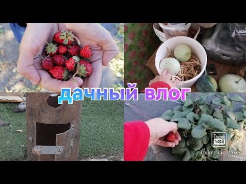 Видео: Кроме меня никто не сделает..... Дачный влог / Пыльная буря в Ростове / Печь под казан / Ремонт дома