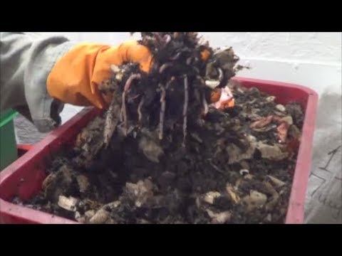 Видео: АТ207 Биогумус, многгг-го Биогумуса. Вермикомпост навсегда