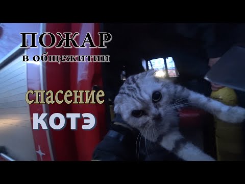 Видео: Пожар в общежитии/Спасение котэ!!!/Спасаем людей и животных...