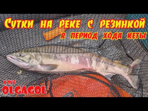 Видео: Сутки на реке Амур с резинкой в период хода кеты. 
