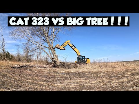 Видео: ВСЕ ЕЩЕ ЖДЕМ ПОСАДКИ КУКУРУЗЫ