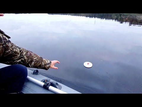 Видео: Осенняя рыбалка на спиннинг и кружки! ЗРЕЛИЩНЫЕ ПОКЛЕВКИ ПРЯМО НА ГЛАЗАХ!РУКИ В КРОВЬ!