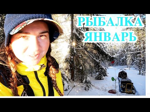 Видео: МЕСЯЦ РЫБАЛКИ ЗА ЧАС| Дневник рыбачки, жерлицы на щуку