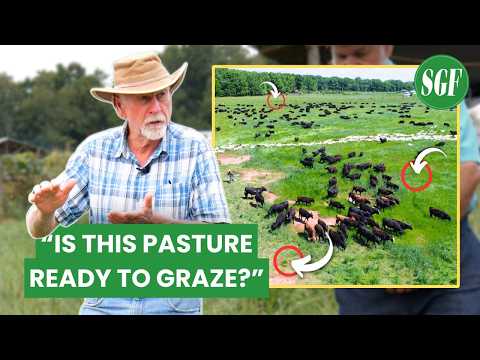 Видео: ДИАГНОСТИКА готовности к выпасу скота с ЭКСПЕРТОМ Джимом Джерришем