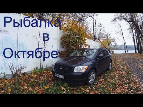 Видео: Микроджиг на Неве, Black Dragon 05-5 грамм.